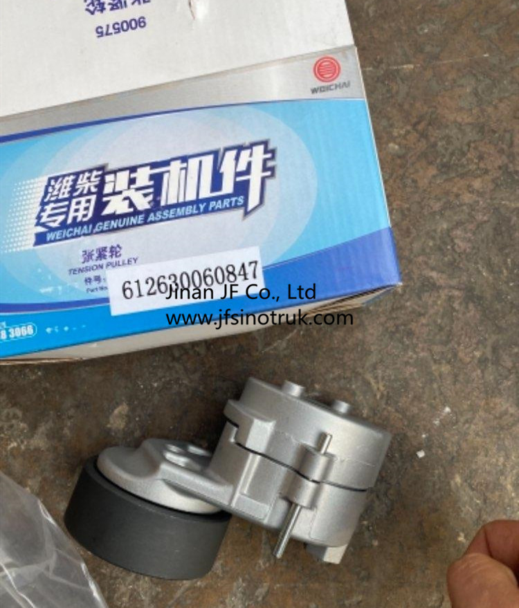 612630060847 612630060009 615T4060161 Tension Pulley China
