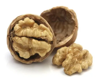 Factory supply walnut inshell 185 walnut