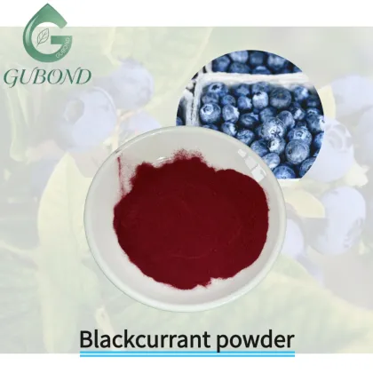 Blueberry Spray Dried Fruit Powder