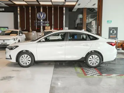 Changan Yidong New Energy Passenger Vehicle