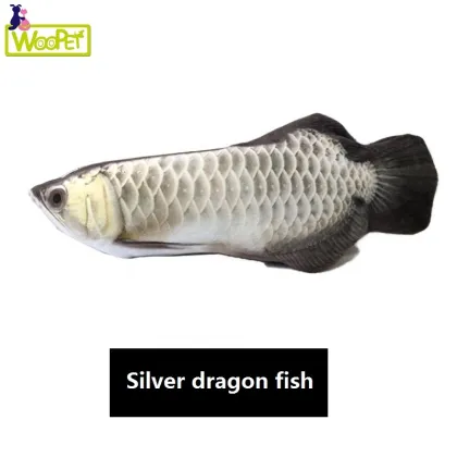 Usb Electric Moving Swing Dancing Fish Cat Toy Cat Flapping Kicker Electric Simulation Eco-Friendly