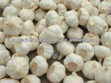 Hot Garlic