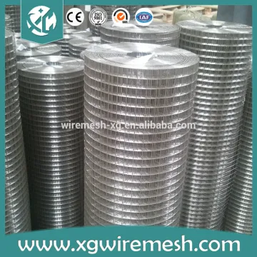 wire mesh/welded mesh/galvanized welded wire mesh(AnPing factory)