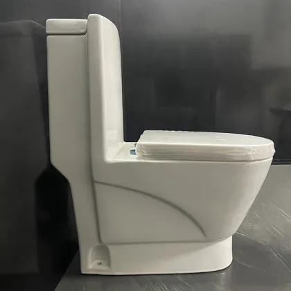 Gold Dragon Sanitary Ware WC Toilet Seat