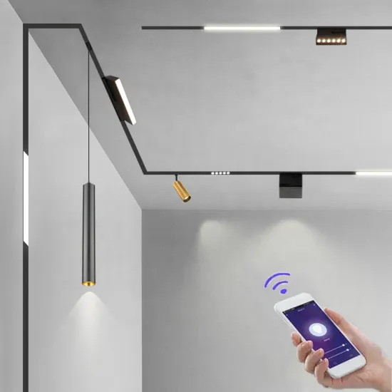 Smart Track Magnetic Lamp 48V 25W 30W DALI Flush Mounted LED Rail Light