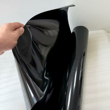 Food Grade PP Blister Packaging Sheet