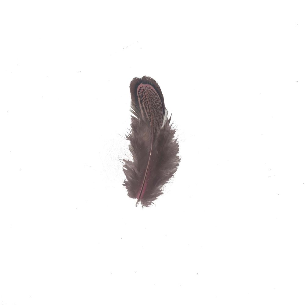 Pink Feather