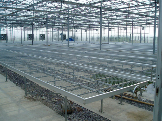 Agriculture Seed rolling bench For Greenhouse