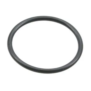 NOK O Ring