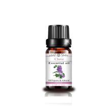 100% Pure Natural Clove Essential Oil for Aromatherapy