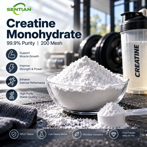 Creatine Monohydrate Powder 99.9% HPLC