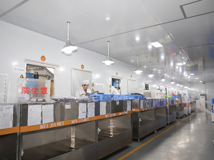 Silicone Molding Line Mold Workshop