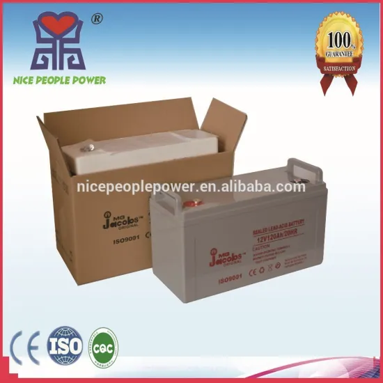 Nice People Power battery 12V100AH lead acid battery use for DC Fan