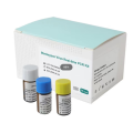 Kit de test des réactifs de PCR MonkeYPOX