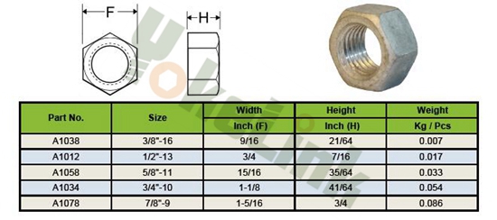 Hex Nut01