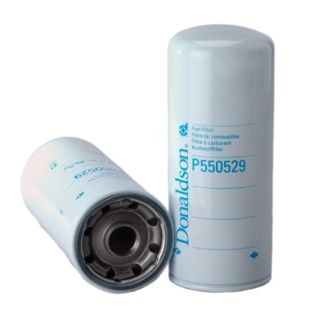 Truck Fuel Filter 21879886 20875672 20972295 P550529" 

Since the request specifies to get one title directly from the provided text, I have kept it unchanged. However, typically for a search engine title, we might want to make it more concise or descript