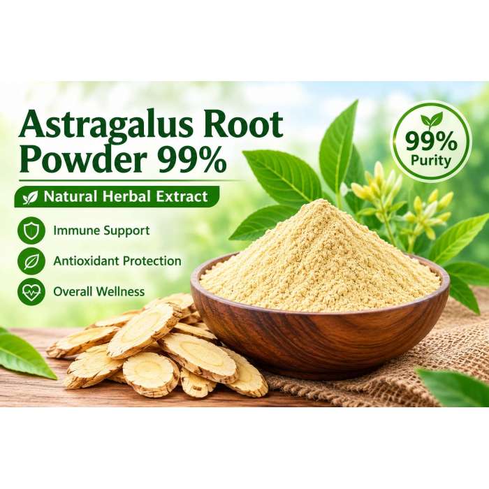 Astragalus Root Extract 99% Powder
