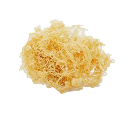 Wholesale Dried Tremella Fungus - White Fungus Dried Snow Fungus
