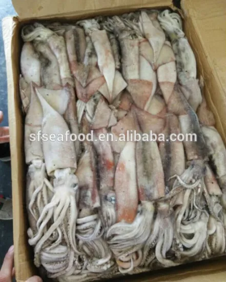 Whole Round Todarodes Pacificus Frozen Squid