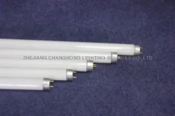 T10 straight fluorescent light