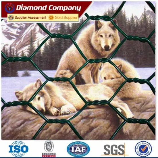 Galvanized Hexagonal Wire Netting Wire Mesh Hexagonal metal mesh