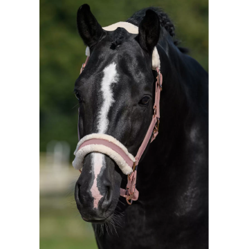 Μαλακό γεμισμένο ρυθμιζόμενο χνουδωτό Head Collar Horter Halter