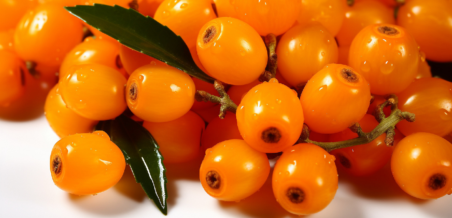 Seabuckthorn-oil-1