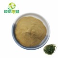 Gynostemma Plant Extract Gypenoside 80% 98%