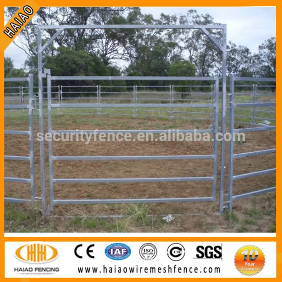 China Professional Supplier Pipe fencing for horses
