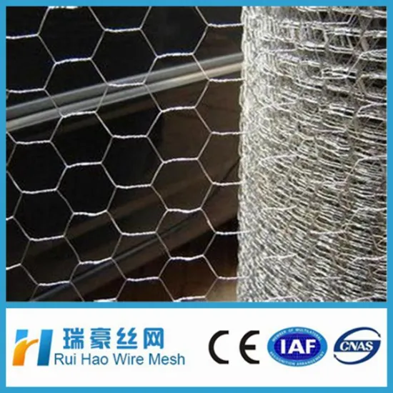 Plastering Hexagonal Wire Mesh /Chicken Wire