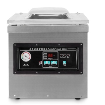 DZ-400 2F Vacuum Pack Machine - Food Vacuum Sealer for Home and Shop