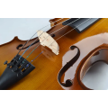 Violino de qualidade Tayste de tamanho total R80s