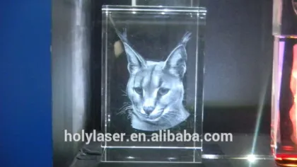 3D camera for 3D portrait shooting fast speed