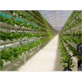 Pertanian Hydroponic Pertanian NFT Penanaman Sistem Penanaman