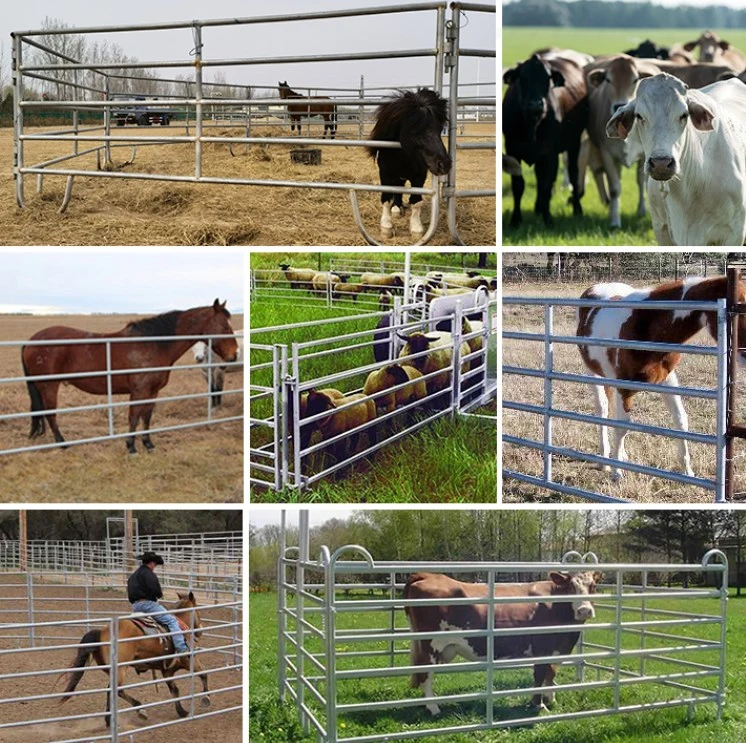 Panel de corral de bajo precio al por mayor valvanizado paneles de ganado Galvanized Paneles en venta