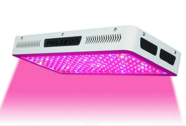 Best Led Plant Grow Lights for Vegetative Growth