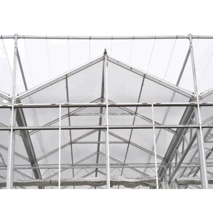 Fully Automatic Smart Greenhouse: MYXL Commercial Agriculture Glass Greenhouse