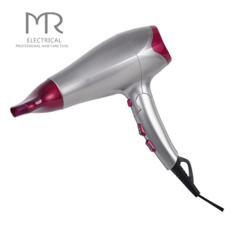 Salon Negative Ion Constant Temperature Blow Dryer