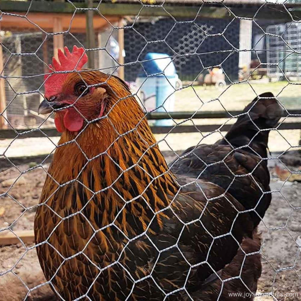 Chicken Hexagonal Wire Netting Wire Mesh