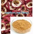 Buy online active ingredients Hawthorn leaf Extract powder