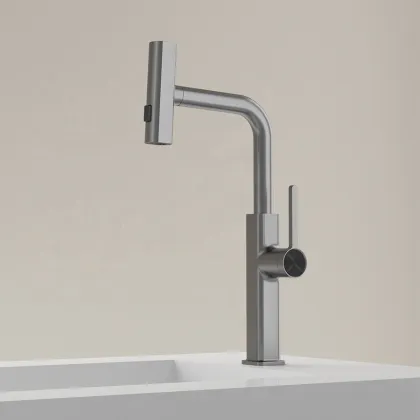 Feiyu Spray Head Faucet: 3-in-1 Commercial and Household Kitchen Tap