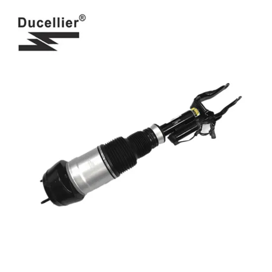 Mercedes Benz W166 Front Air Suspension Shock 1663205566 1663205666 1663201313 1663201413