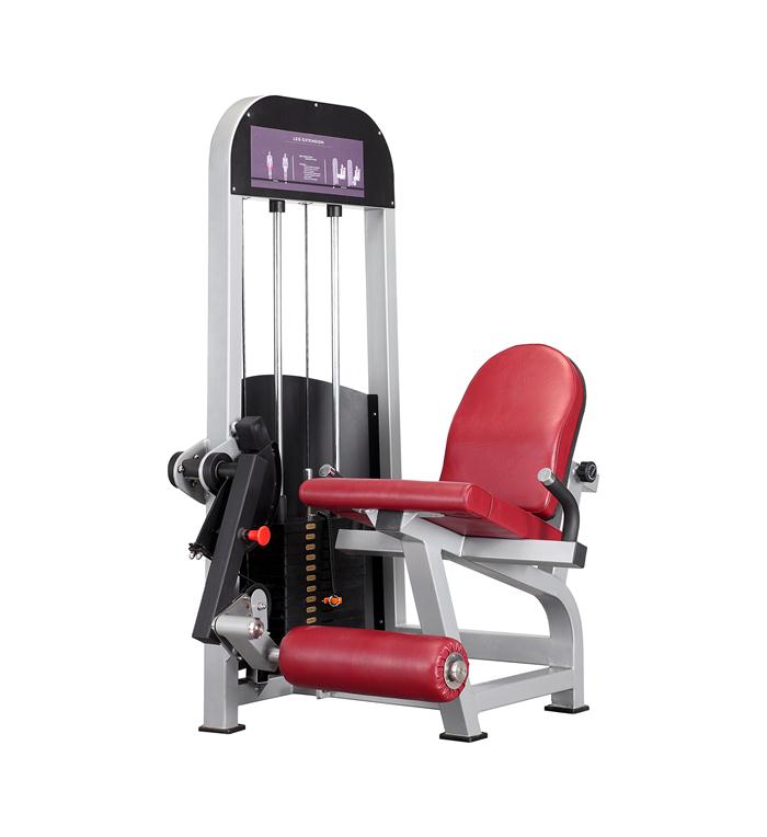 MT-6019 seated leg extension