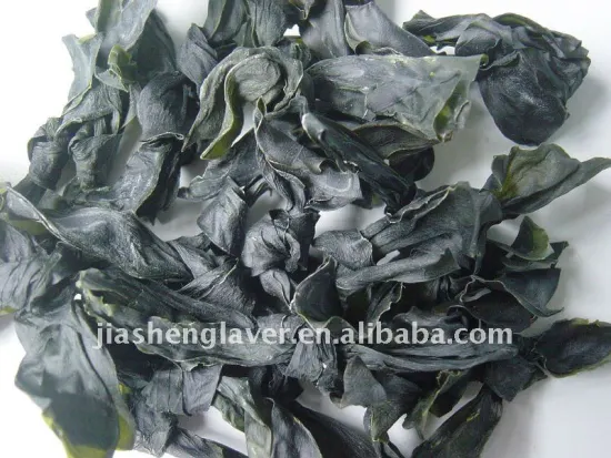 Dried kelp no sand salad ingredient suop ingredient high iodine diet dry vegetable Chinese supplier