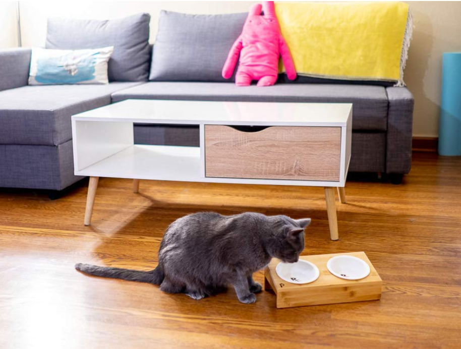 Elevated Bamboo Pet Table with Duo Bowls