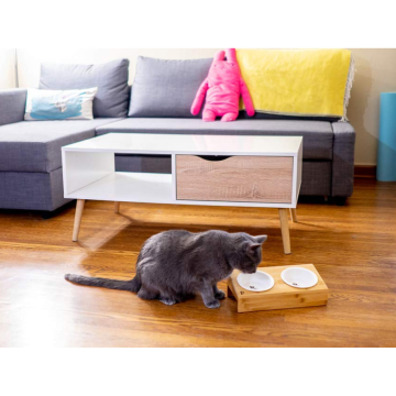 Elevated Bamboo Pet Table with Duo Bowls