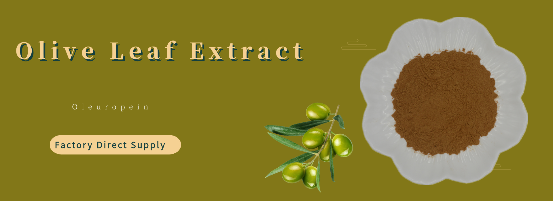 Olive leaf extract powder