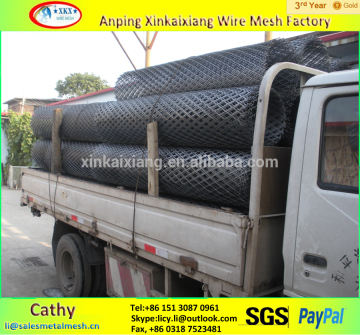 99.99% Pure Sliver Woven Wire Mesh Silver Expanded Metal Mesh