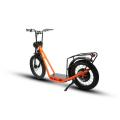 20inch 34 inch electric bike 48V 1000W