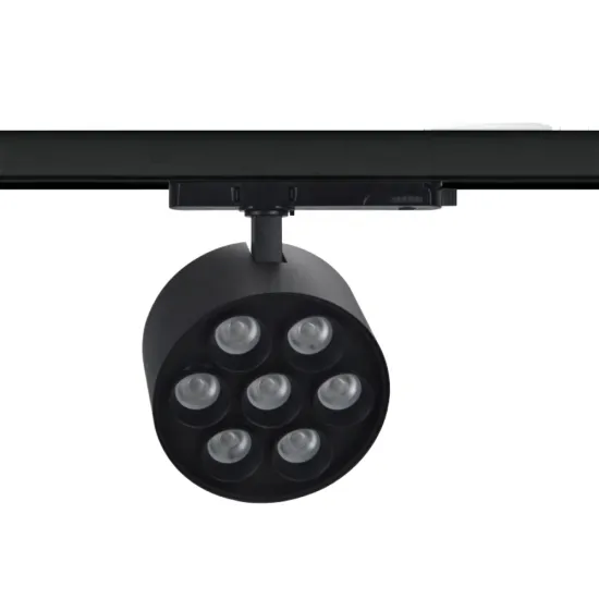 RONSE CCT Warm Light 20W LED Track Light with Zoomable Optic